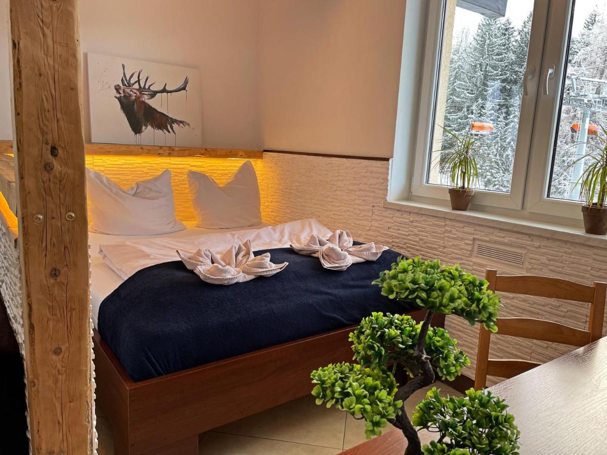 Bed and Breakfast Safir Przy Samym Wyciagu Karpacz Exterior foto