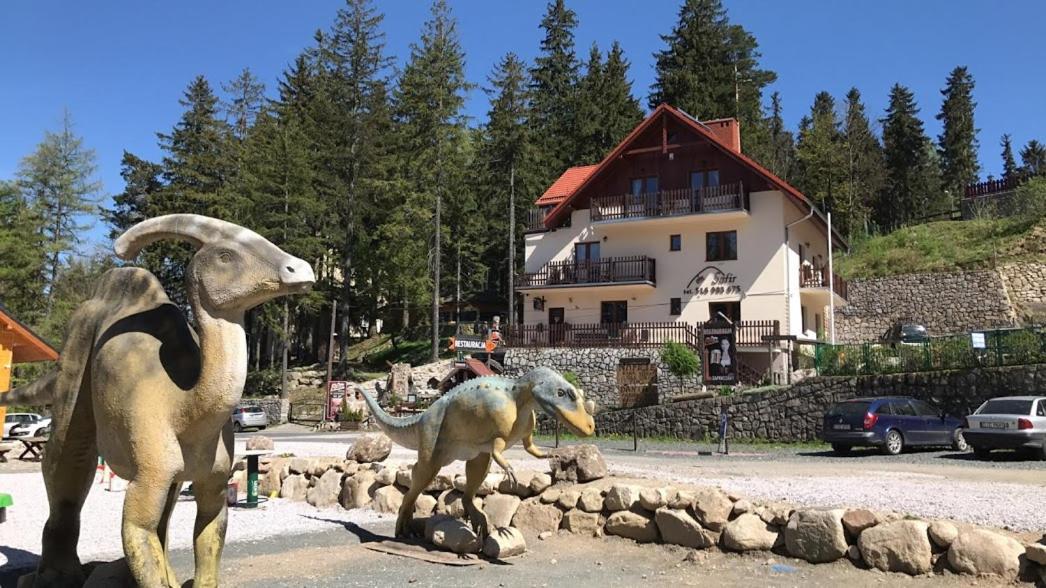 Bed and Breakfast Safir Przy Samym Wyciagu Karpacz Exterior foto