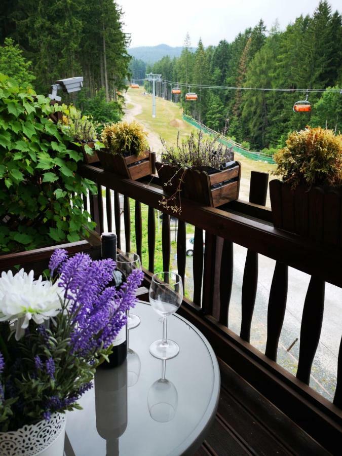 Bed and Breakfast Safir Przy Samym Wyciagu Karpacz Exterior foto