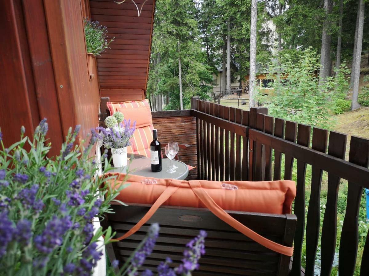 Bed and Breakfast Safir Przy Samym Wyciagu Karpacz Exterior foto